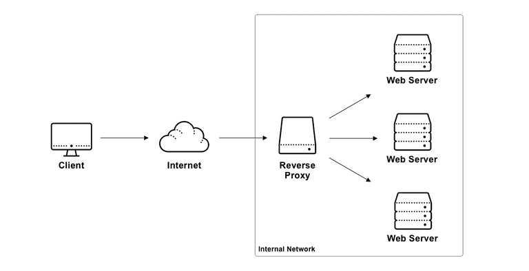 Reverse Proxy Network